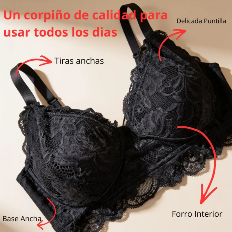 Conjunto Corpiño Vedetina Puntilla (art 2032) Talle 100 al 130